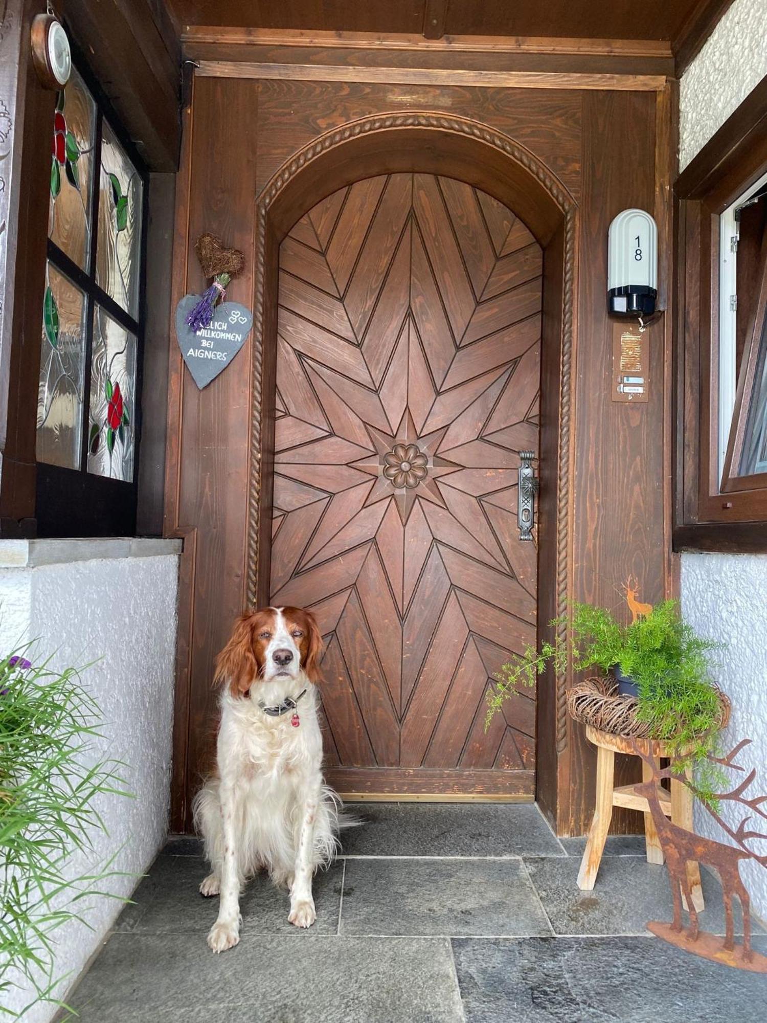 Landhaus Aigner Mittersill Exterior foto